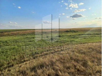 Земля сельхозназначения 12 Га.
