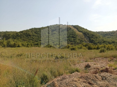 Земля сельхозназначения 2 Га.